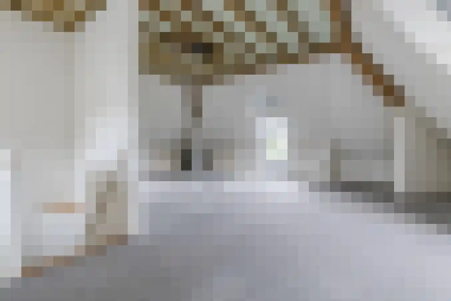 Bucht 14 Bergeijk thumbnail 27