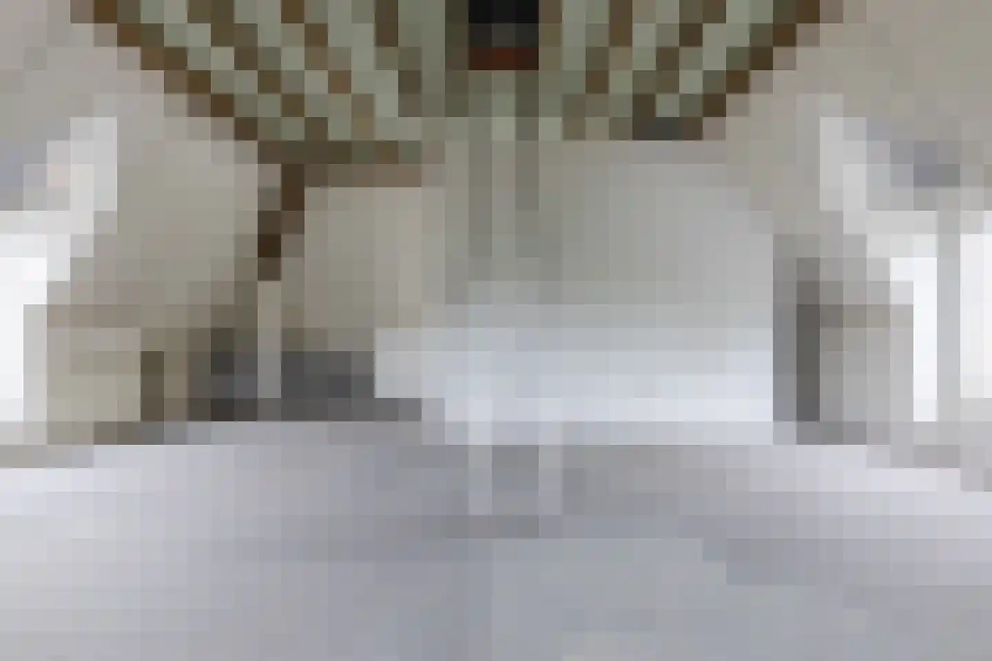 Bucht 14 Bergeijk thumbnail 28