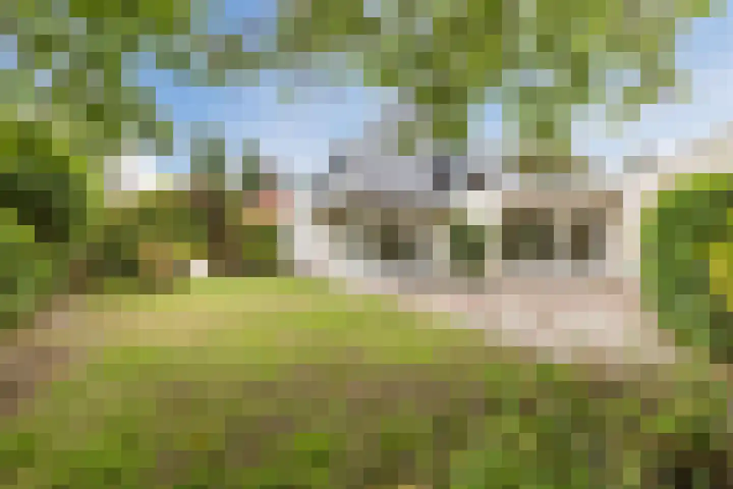 Bucht 14 Bergeijk thumbnail 33