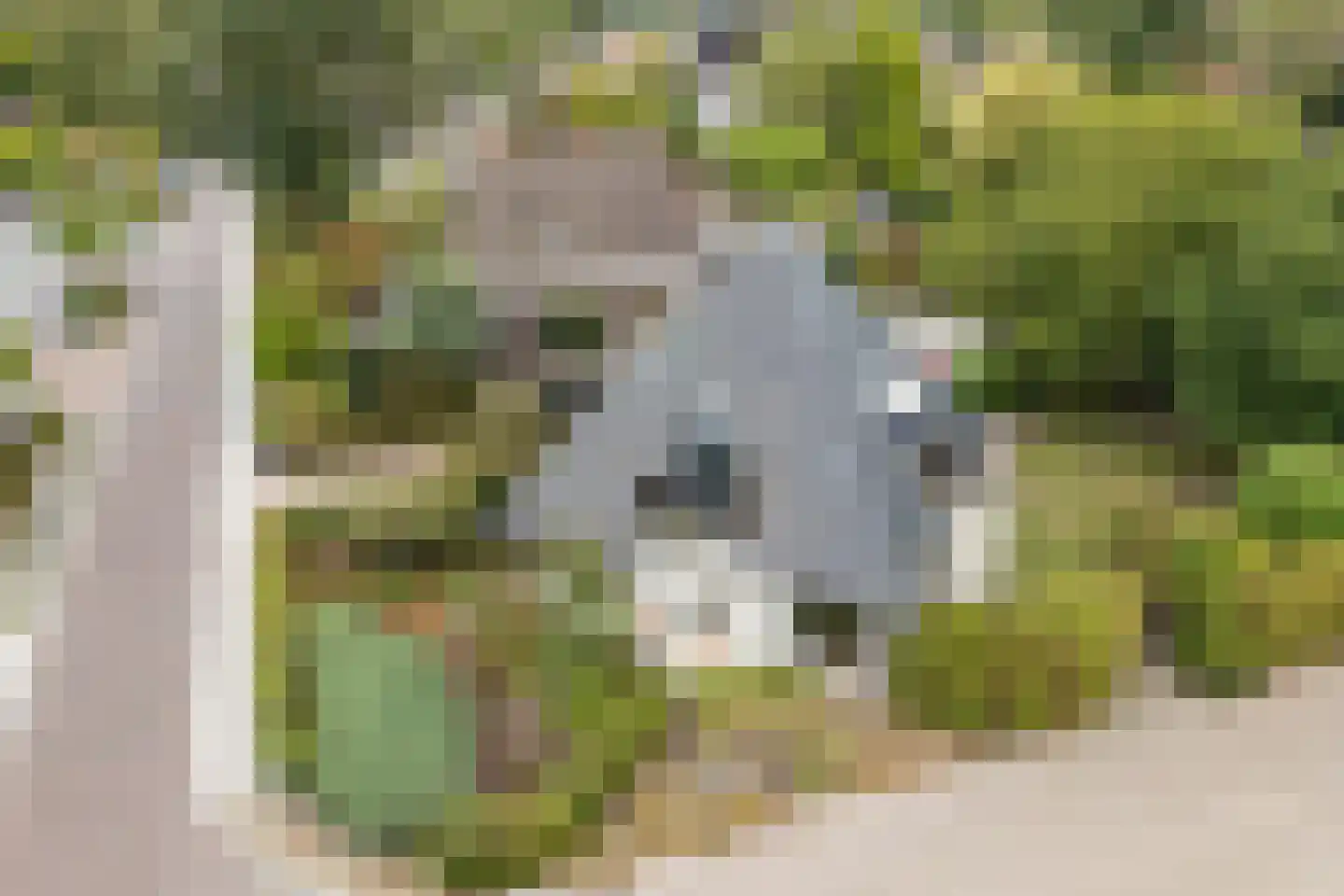 Bucht 14 Bergeijk thumbnail 5