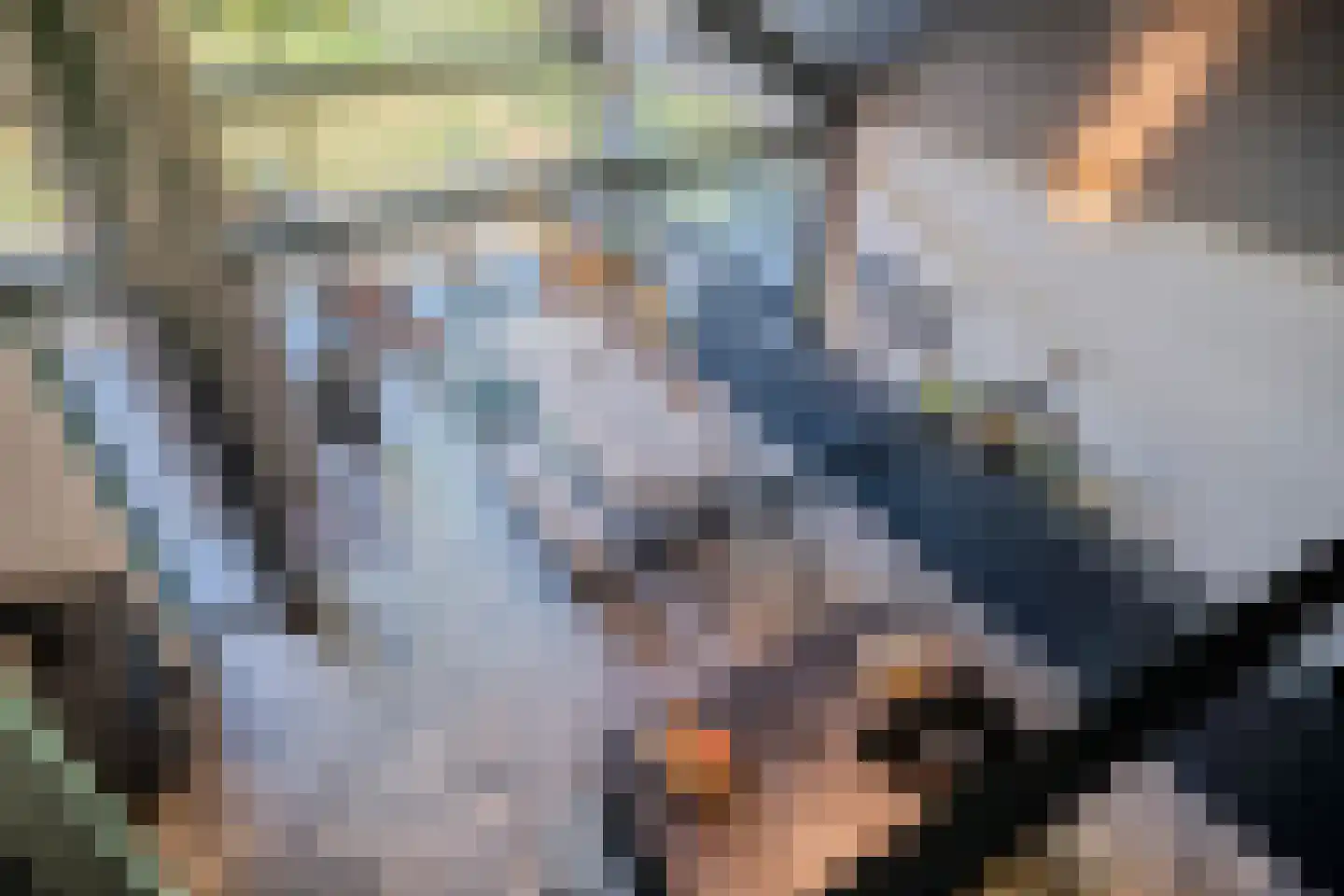 Bucht 37 a Bergeijk thumbnail 21