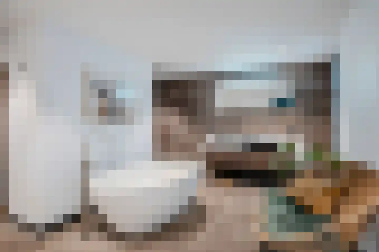 Bucht 37 a Bergeijk thumbnail 33