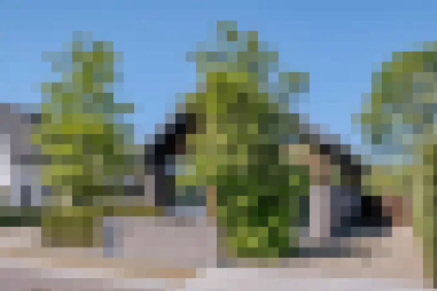 Bucht 37 a Bergeijk thumbnail 4