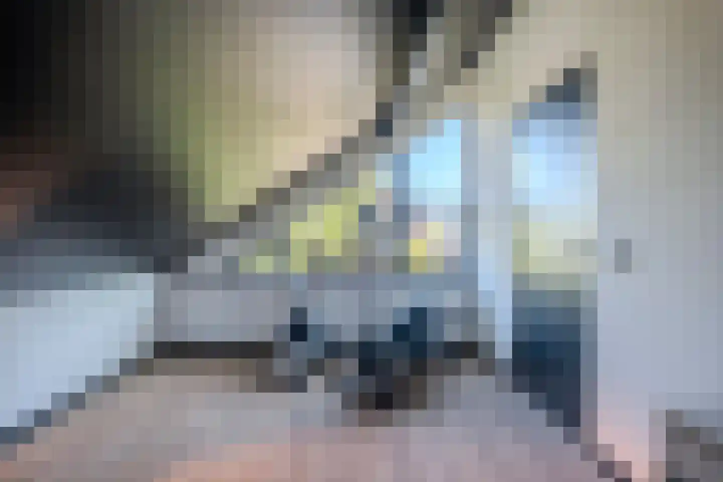 Bucht 37 a Bergeijk thumbnail 41