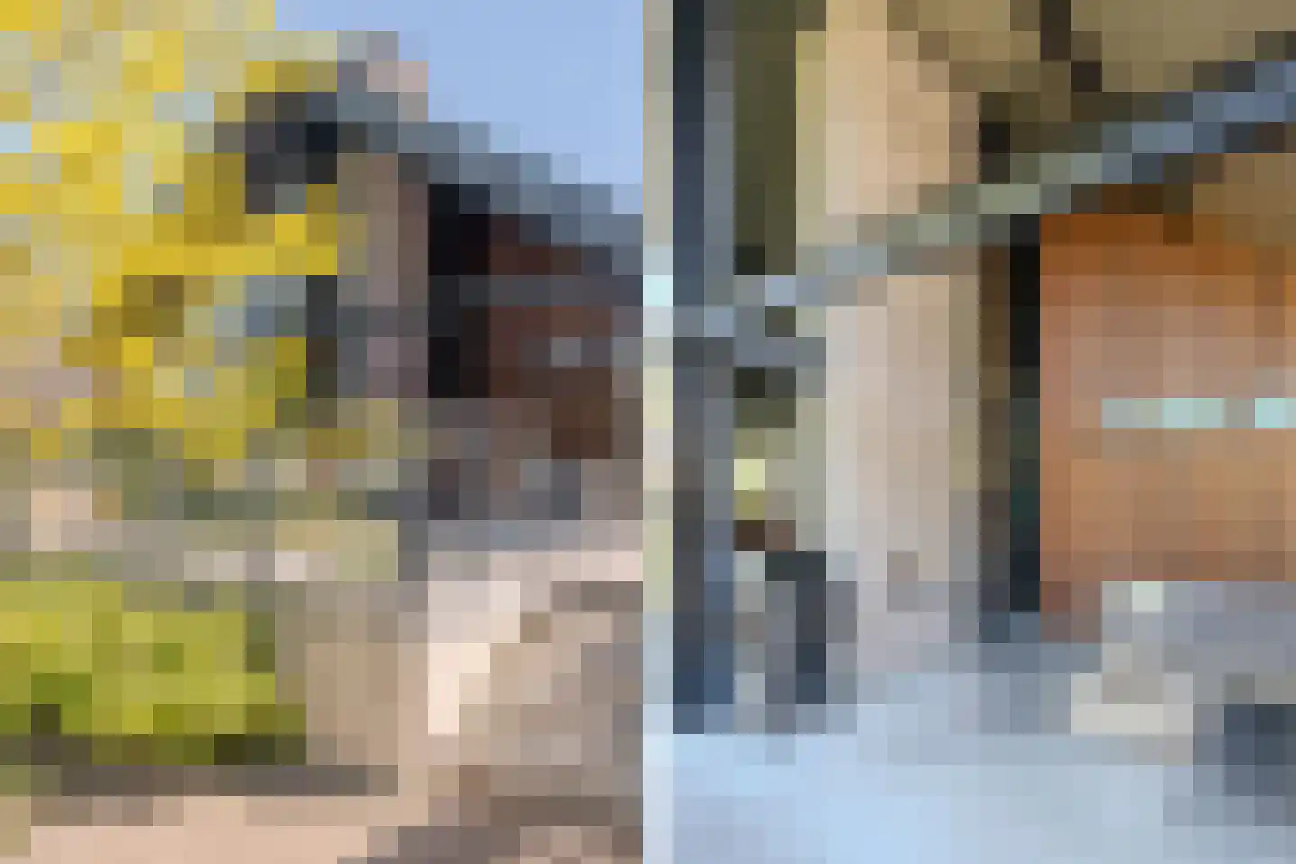 Bucht 37 a Bergeijk thumbnail 44