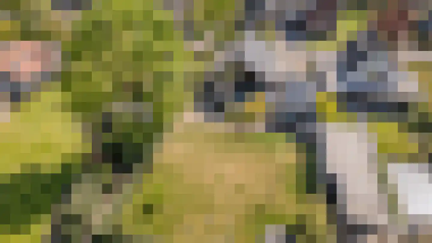 Bucht 37 a Bergeijk thumbnail 49