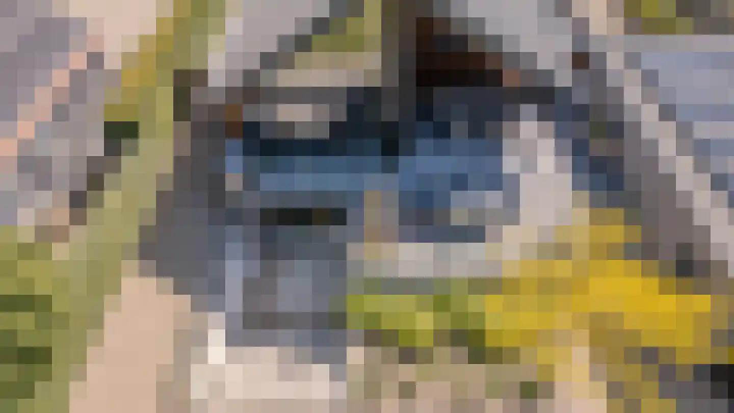 Bucht 37 a Bergeijk thumbnail 51