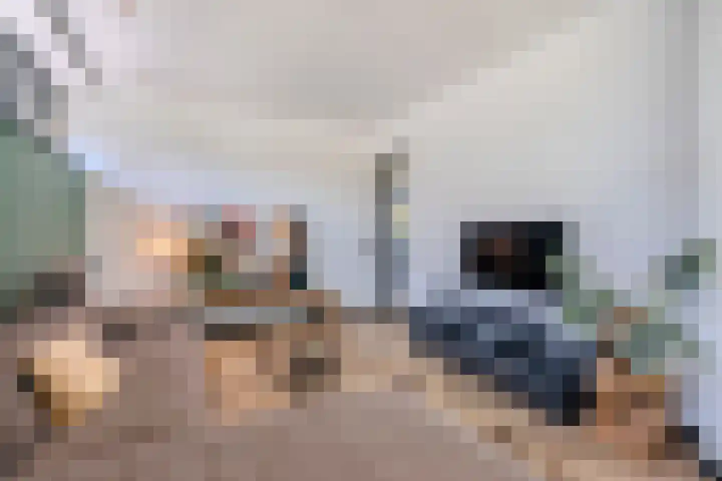 Bucht 37 a Bergeijk thumbnail 7