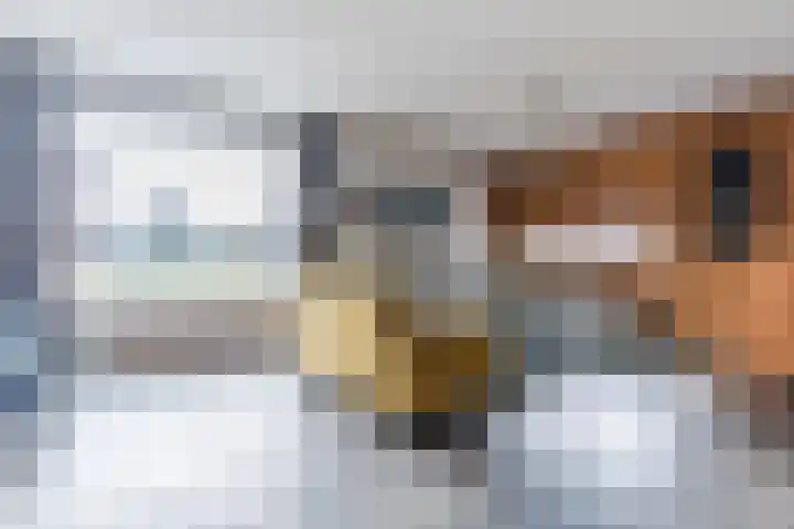Bucht 37 Bergeijk thumbnail 11