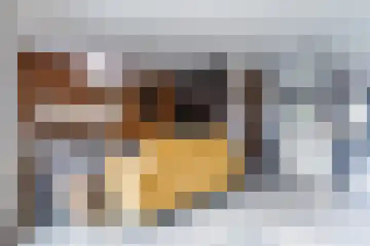Bucht 37 Bergeijk thumbnail 12