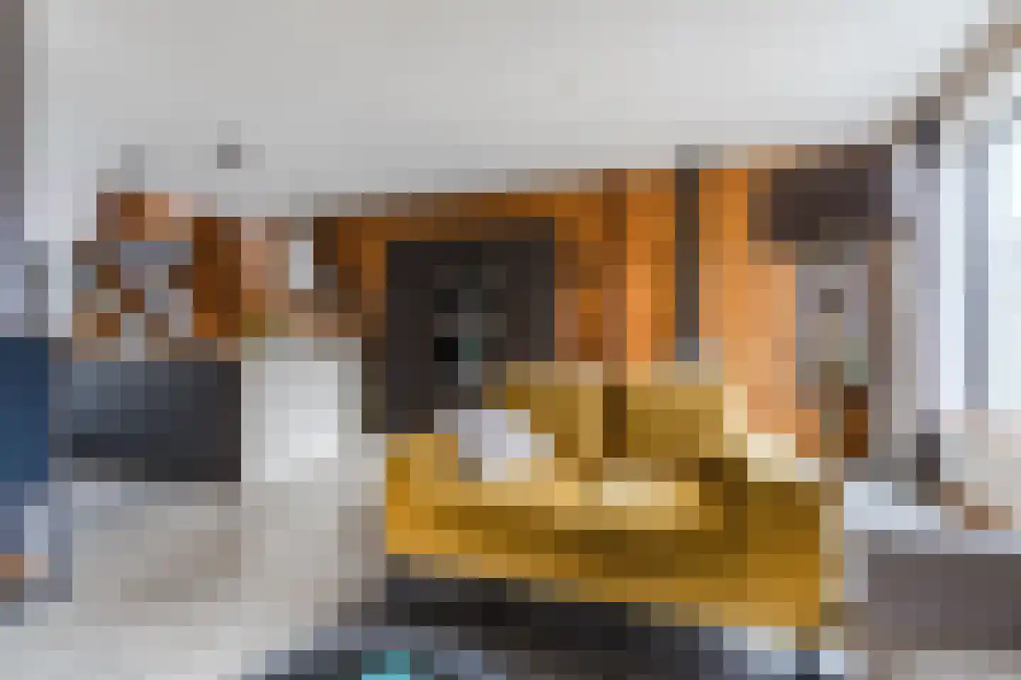Bucht 37 Bergeijk thumbnail 14