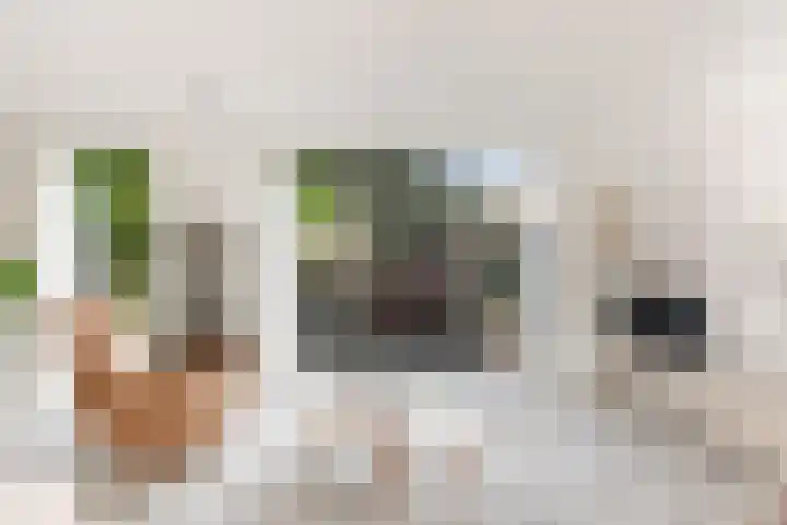 Bucht 37 Bergeijk thumbnail 18