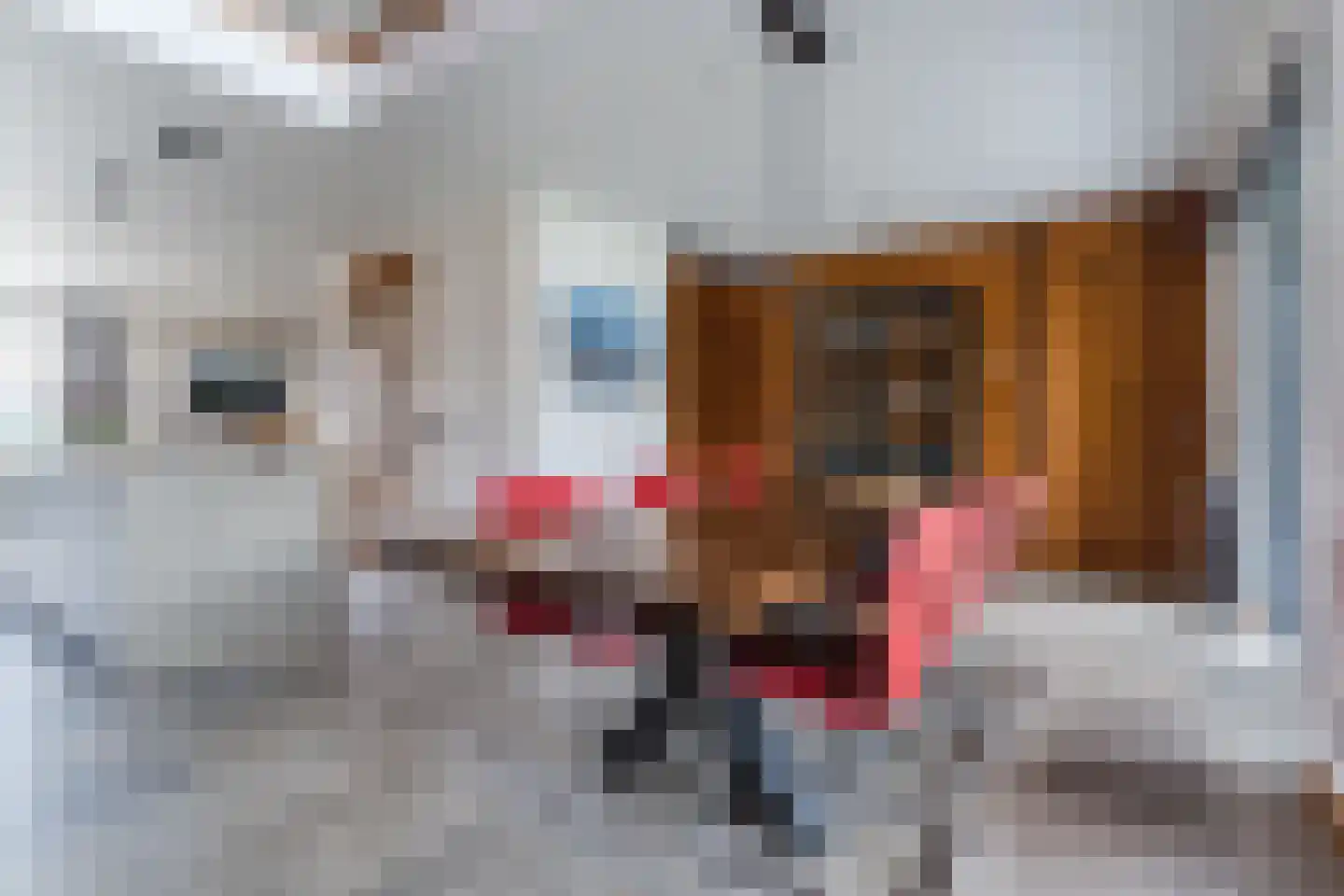 Bucht 37 Bergeijk thumbnail 20