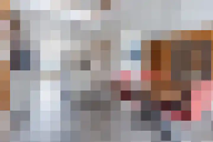Bucht 37 Bergeijk thumbnail 21
