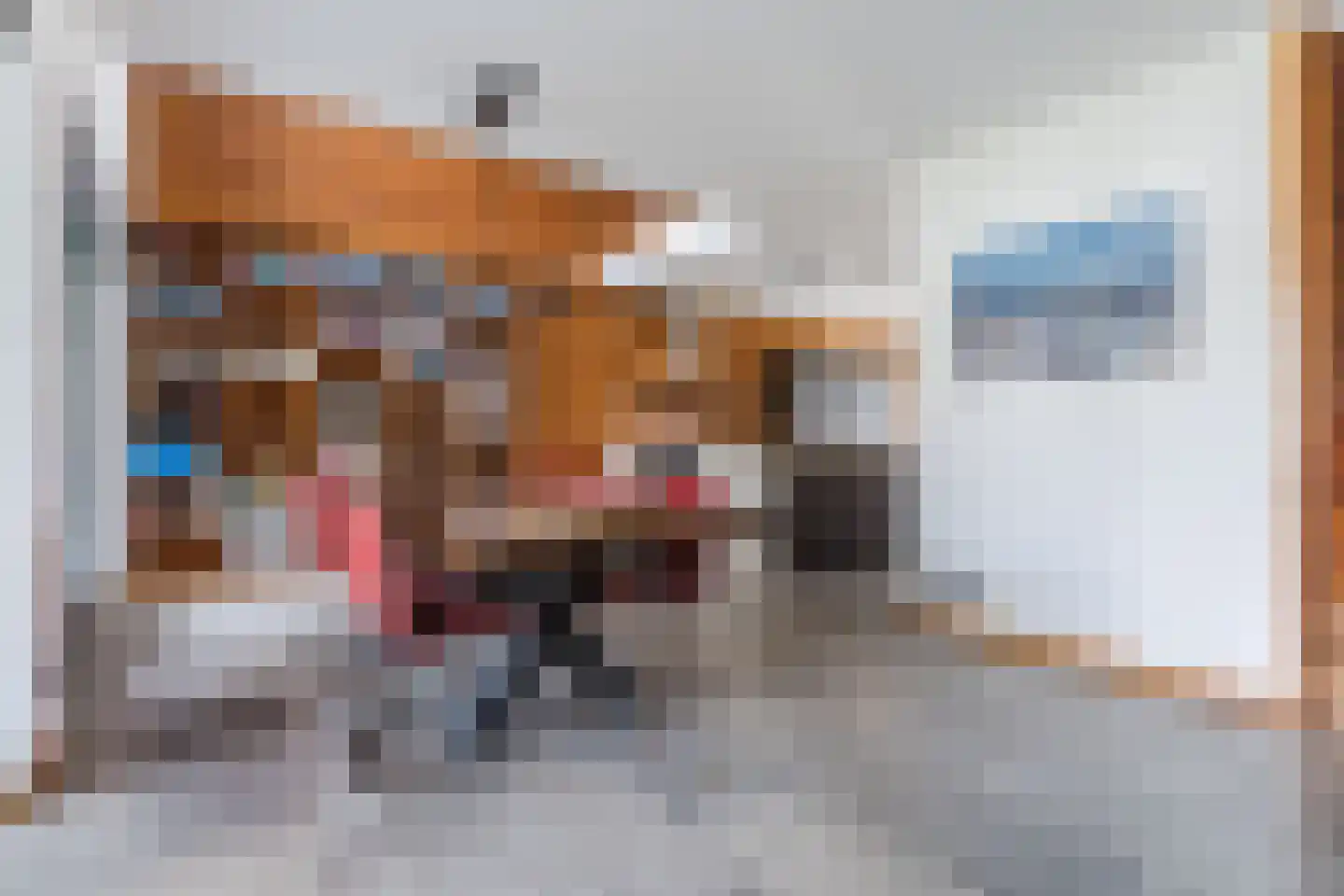 Bucht 37 Bergeijk thumbnail 22