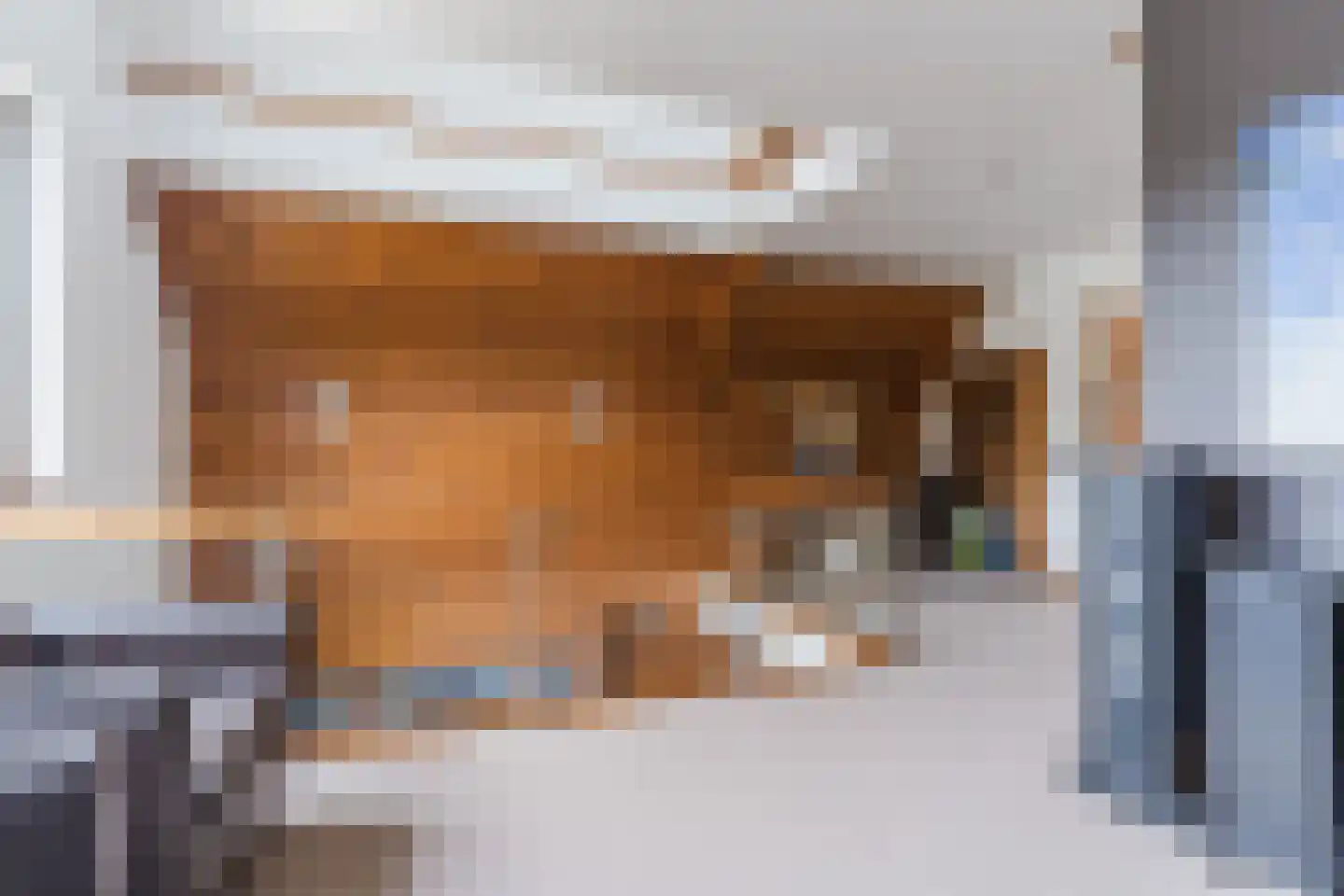 Bucht 37 Bergeijk thumbnail 32