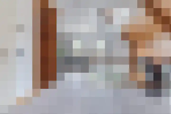 Bucht 37 Bergeijk thumbnail 34