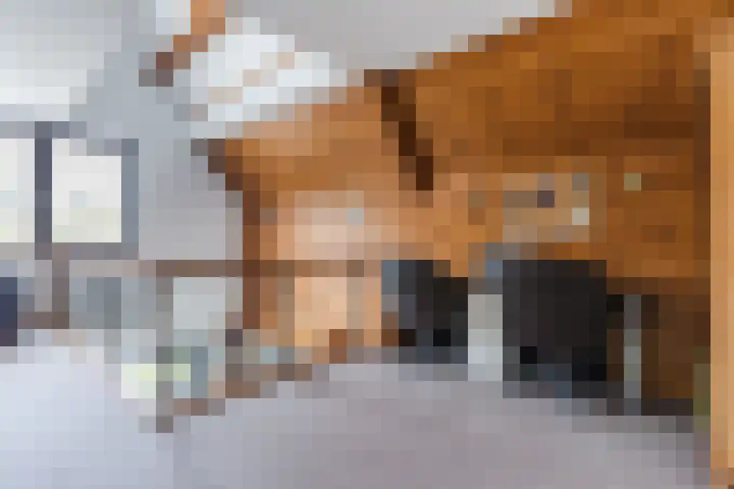 Bucht 37 Bergeijk thumbnail 35