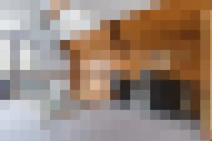 Bucht 37 Bergeijk thumbnail 35