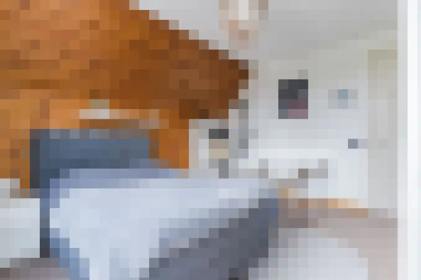 Bucht 37 Bergeijk thumbnail 37