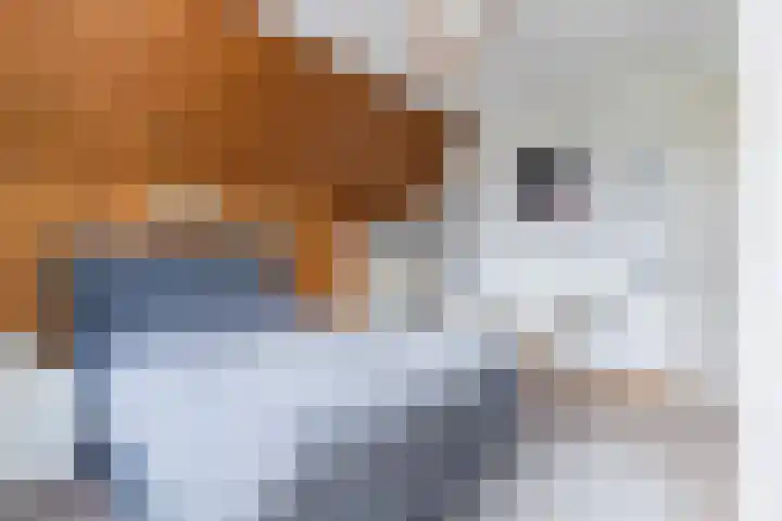 Bucht 37 Bergeijk thumbnail 37