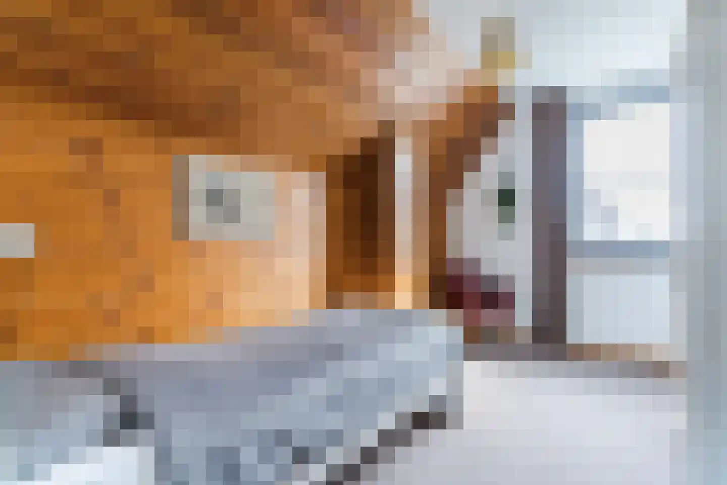 Bucht 37 Bergeijk thumbnail 38