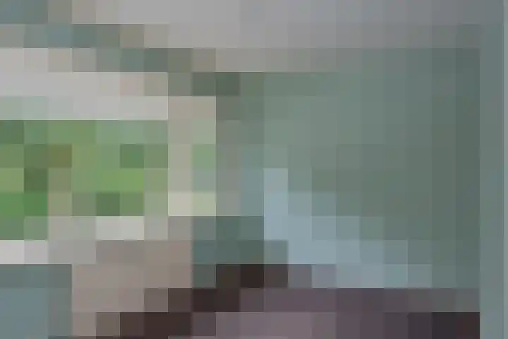 Bucht 37 Bergeijk thumbnail 38