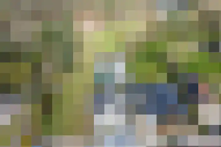 Bucht 37 Bergeijk thumbnail 4