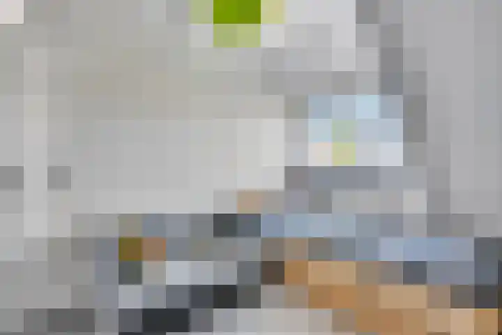 Bucht 37 Bergeijk thumbnail 42