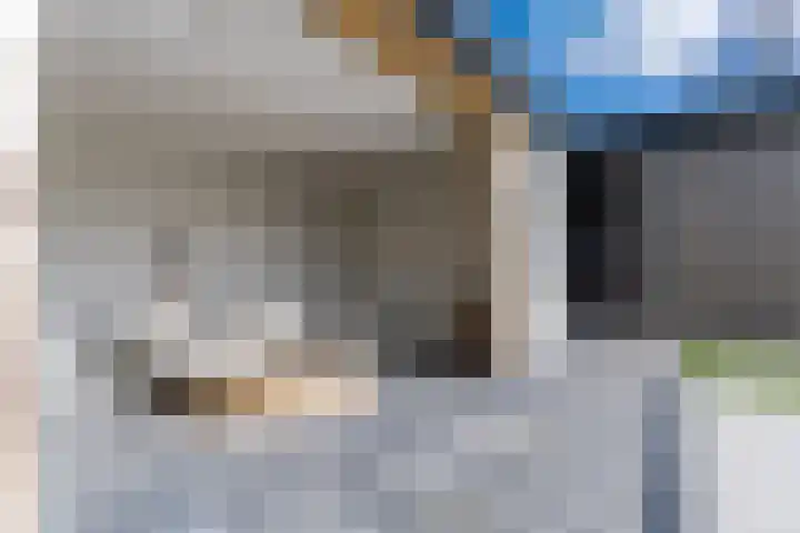 Bucht 37 Bergeijk thumbnail 50