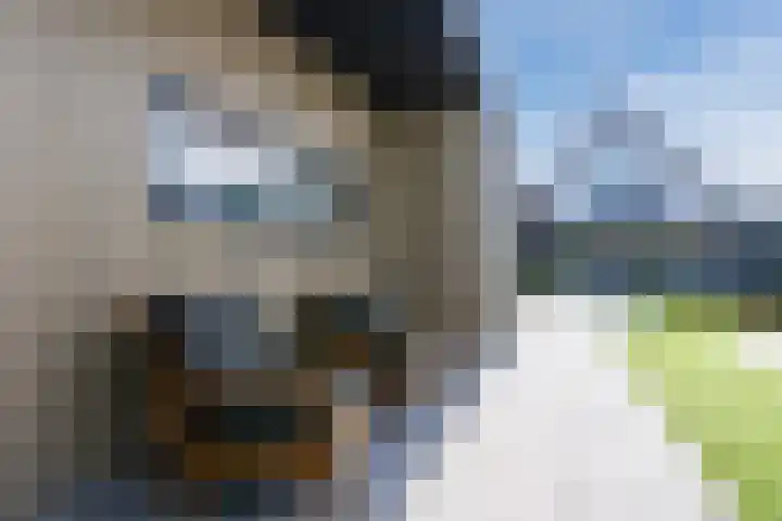 Bucht 37 Bergeijk thumbnail 52
