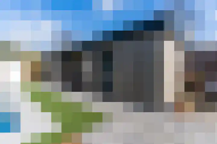Bucht 37 Bergeijk thumbnail 55