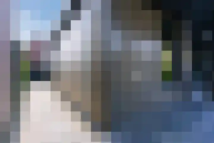 Bucht 37 Bergeijk thumbnail 56