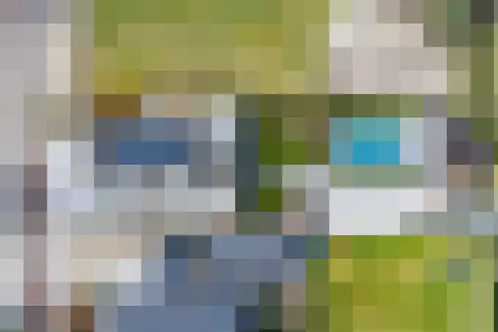 Bucht 37 Bergeijk thumbnail 57
