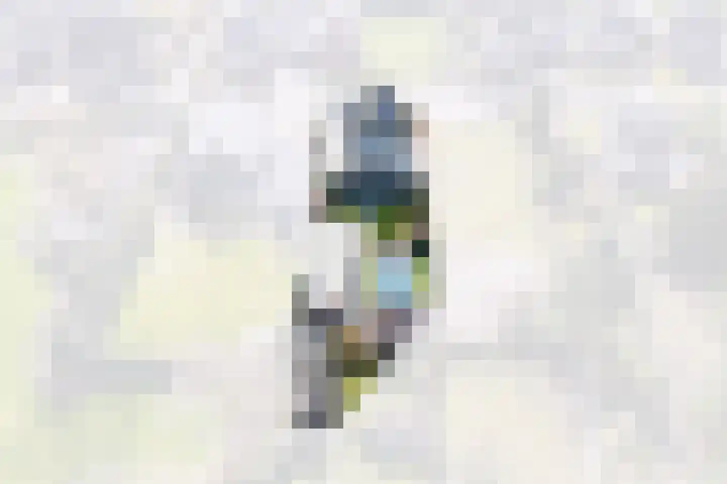 Bucht 37 Bergeijk thumbnail 58