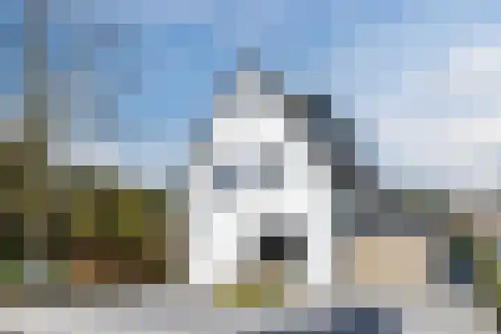Bucht 37 Bergeijk thumbnail 59