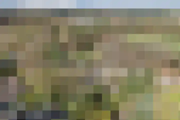 Bucht 37 Bergeijk thumbnail 60