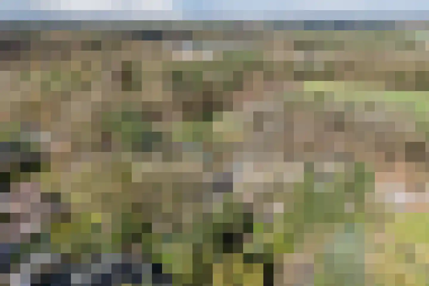 Bucht 37 Bergeijk thumbnail 60