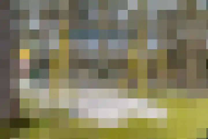 Bucht 37 Bergeijk thumbnail 61