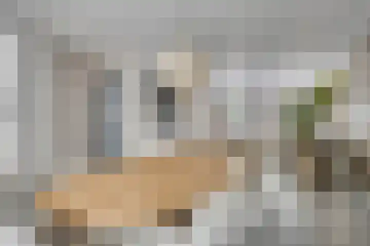 Bucht 46 Bergeijk thumbnail 10