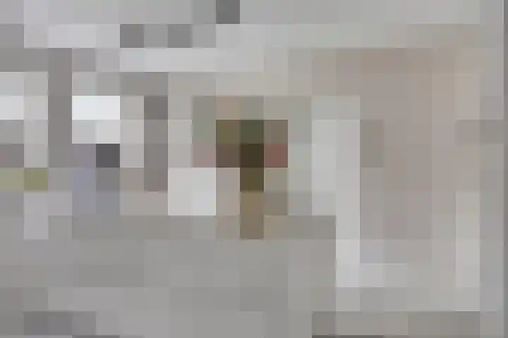 Bucht 46 Bergeijk thumbnail 11
