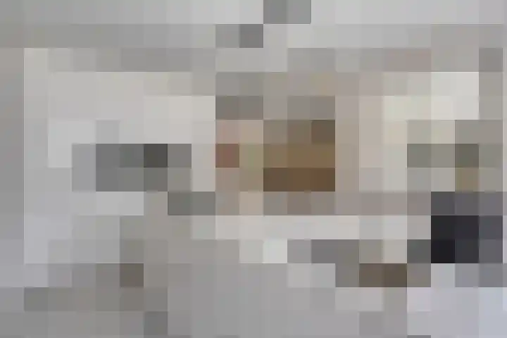 Bucht 46 Bergeijk thumbnail 12