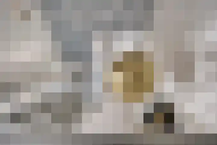 Bucht 46 Bergeijk thumbnail 14