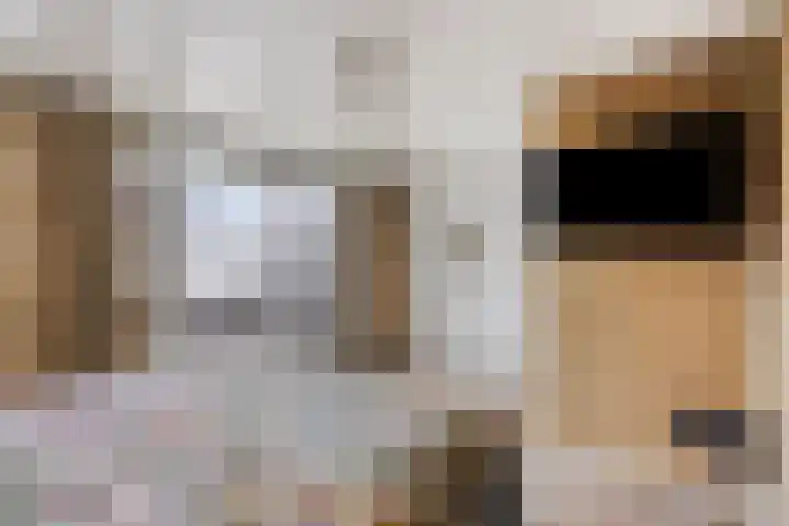 Bucht 46 Bergeijk thumbnail 16