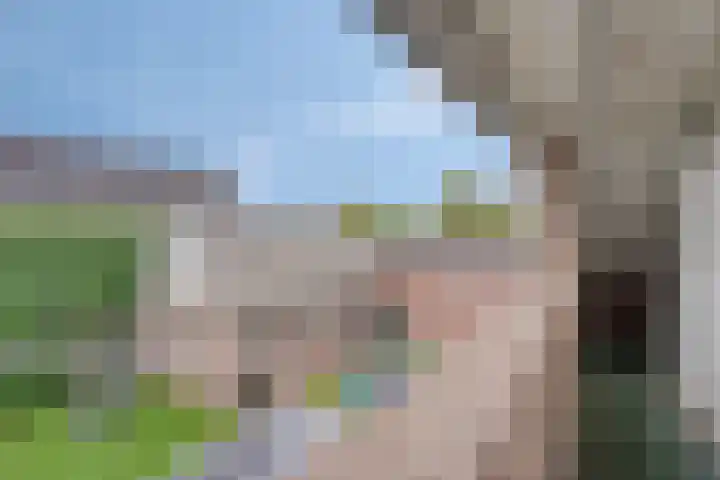 Bucht 46 Bergeijk thumbnail 17