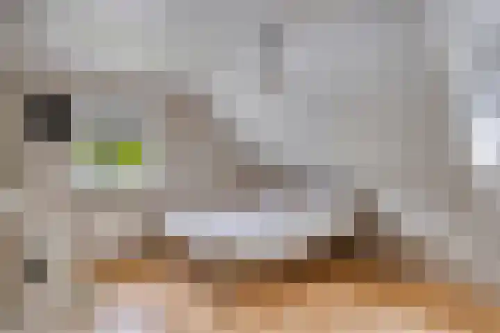 Bucht 46 Bergeijk thumbnail 18