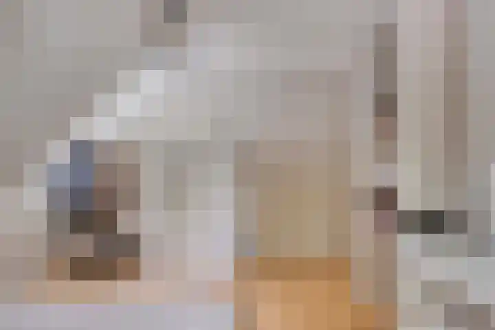 Bucht 46 Bergeijk thumbnail 19