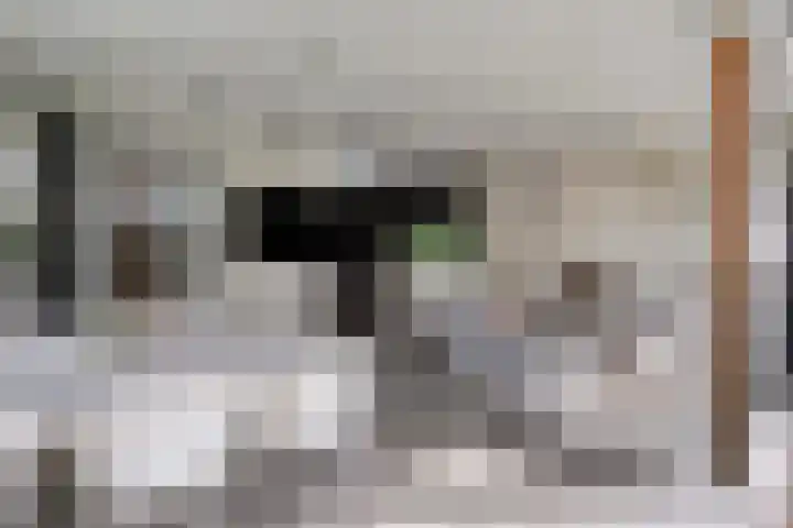 Bucht 46 Bergeijk thumbnail 27