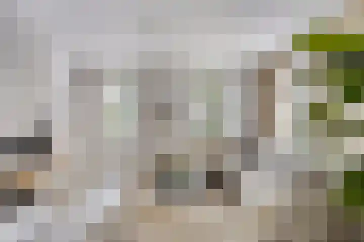 Bucht 46 Bergeijk thumbnail 6