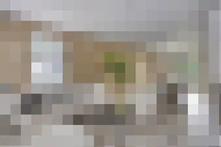 Bucht 46 Bergeijk thumbnail 7